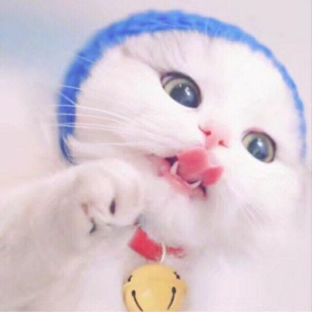 博主头像
